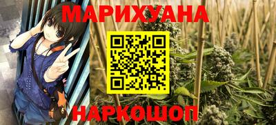 крисы Краснодар