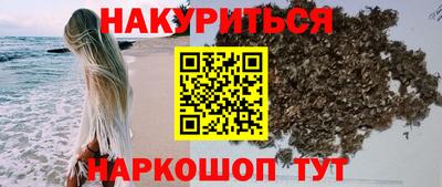 крисы Краснодар