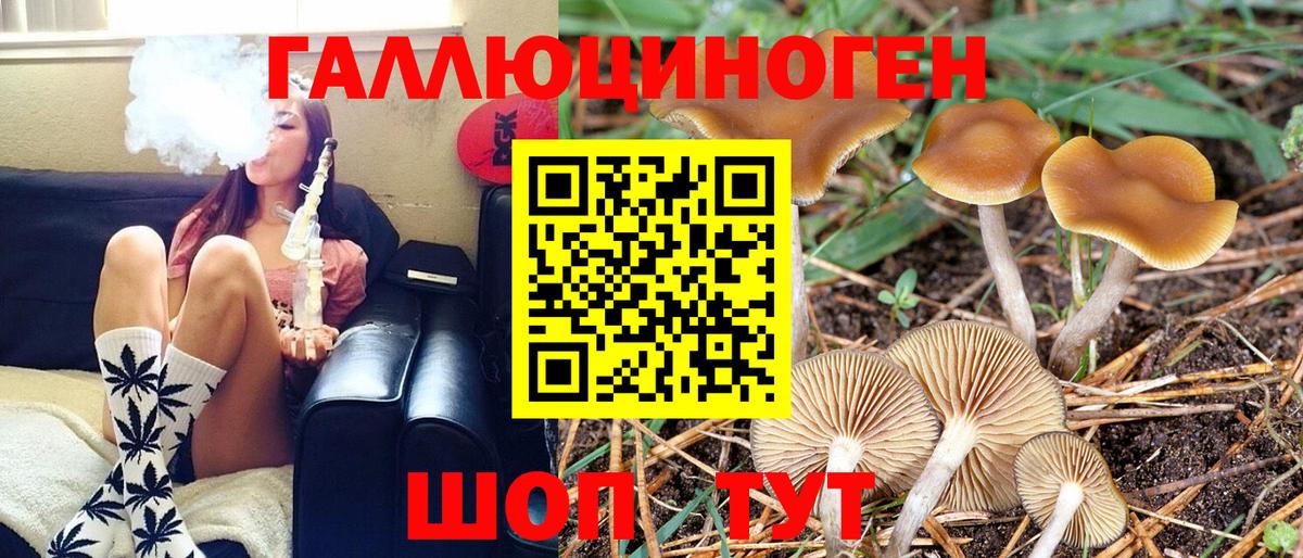 Псилоцибиновые грибы ЛСД Чехов